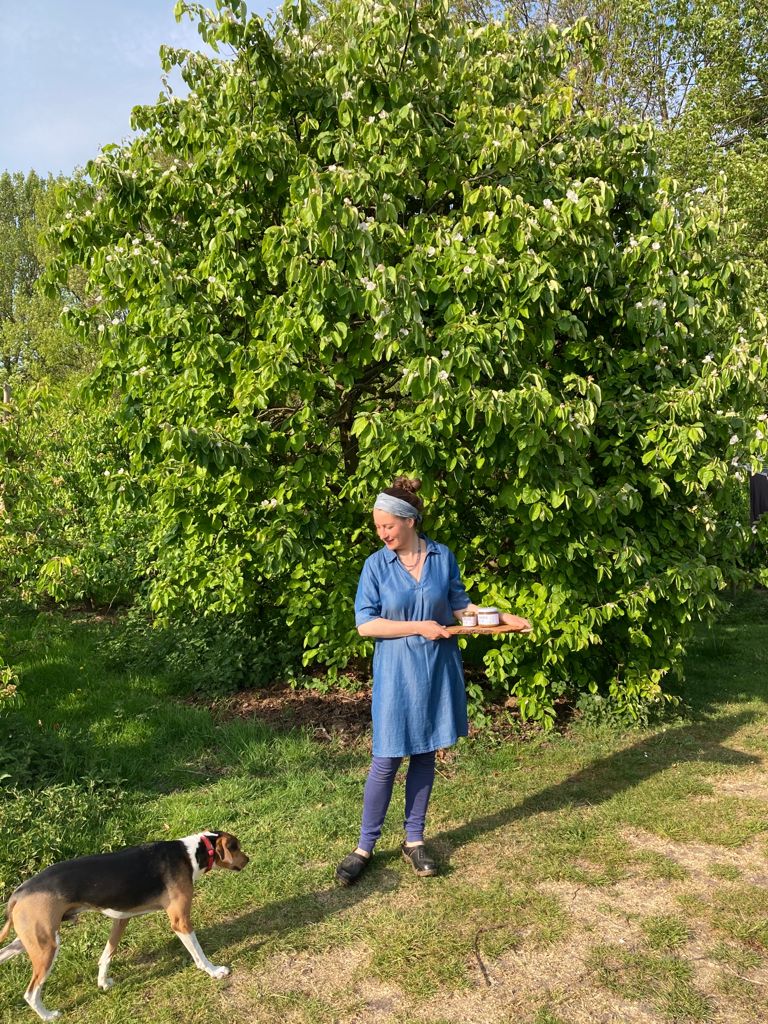 Agroforestry proefperceel deelnemer: Fruitbedrijf van Dijk