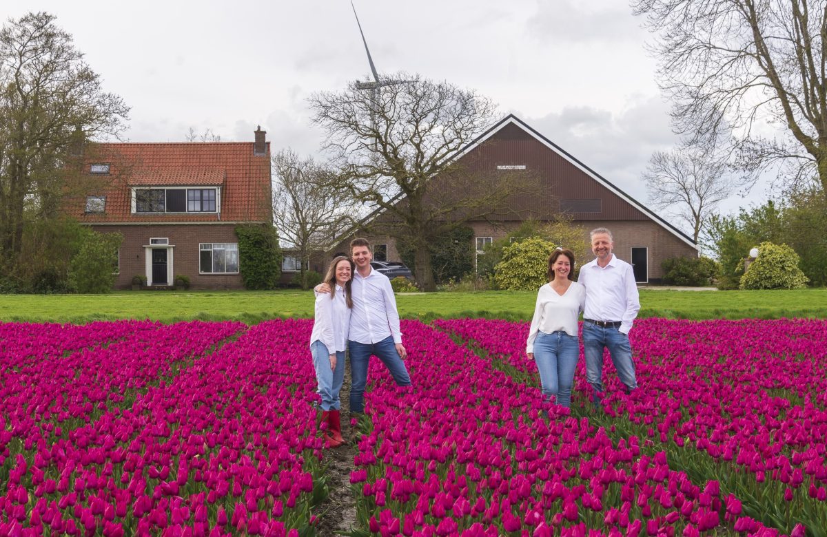 Agroforestry proefperceel bij Kerckhaert Agro