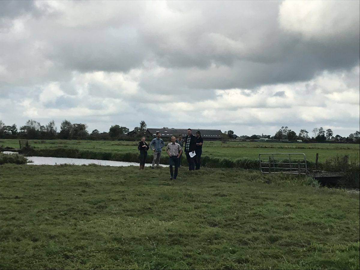 Agroforestry proefperceel bij De Drie Wedden